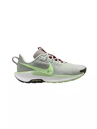 NIKE | Herren Traillaufschuhe Pegasus Trail 5 | 